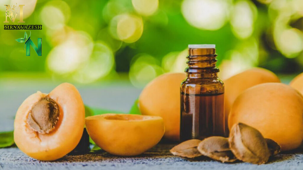 روغن هسته زرد آلو برای درمان پوست مرکز ماساژ نوازش